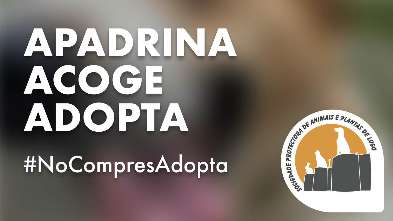 IV EDICION ASTERMAS SUMA
