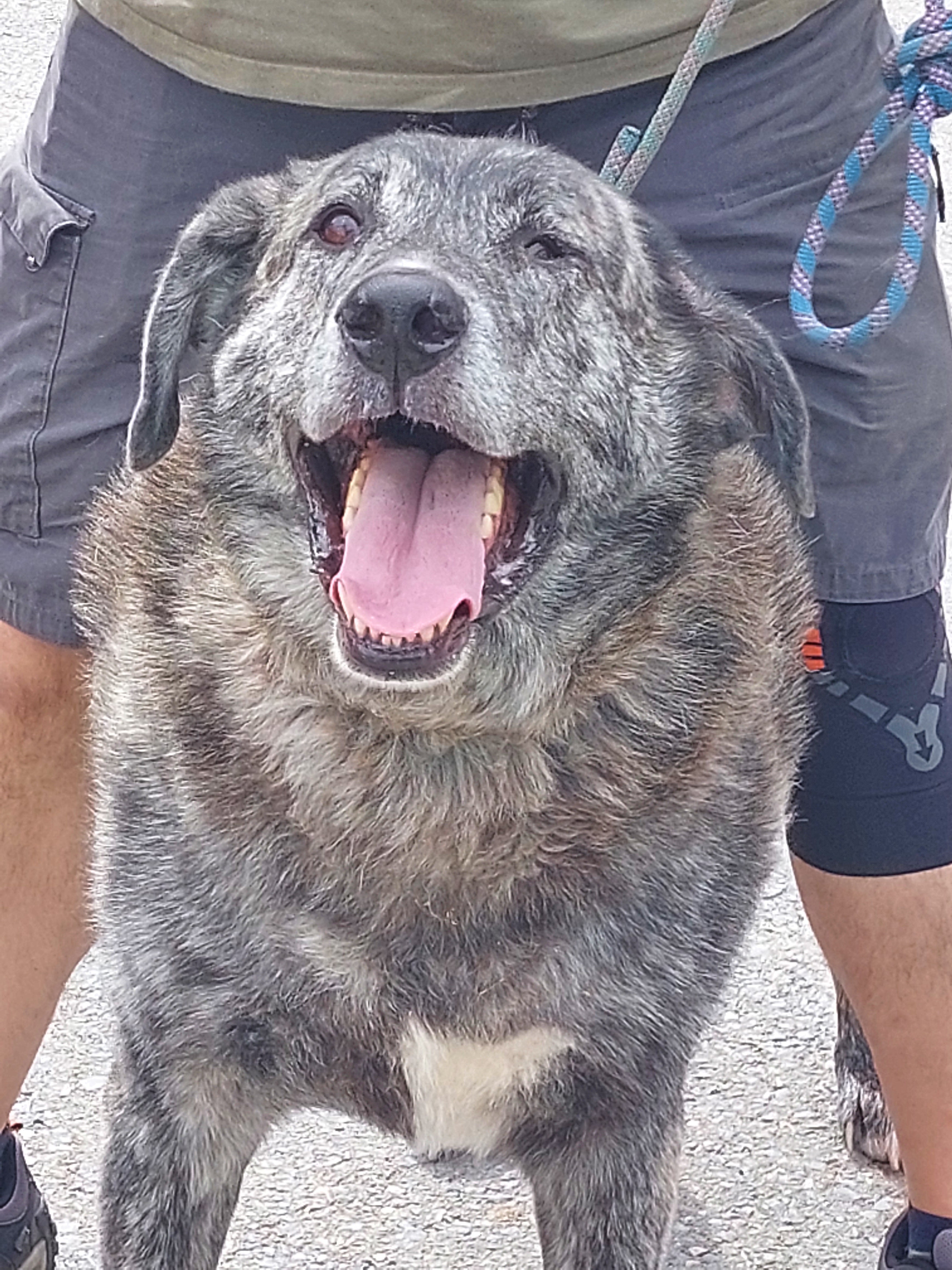 MARTÍN 1/ CHOSCO/ MAX