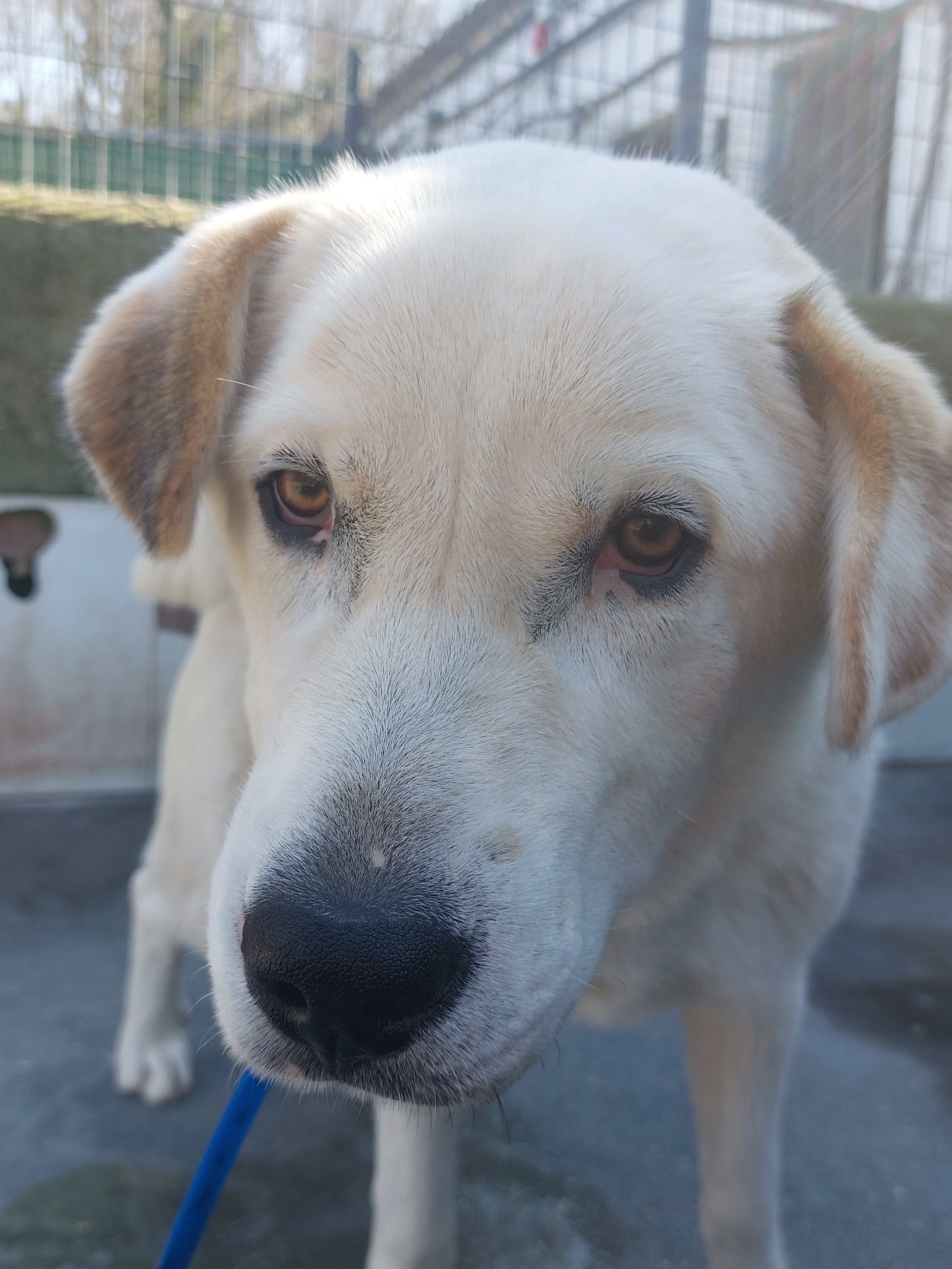 TRUCO