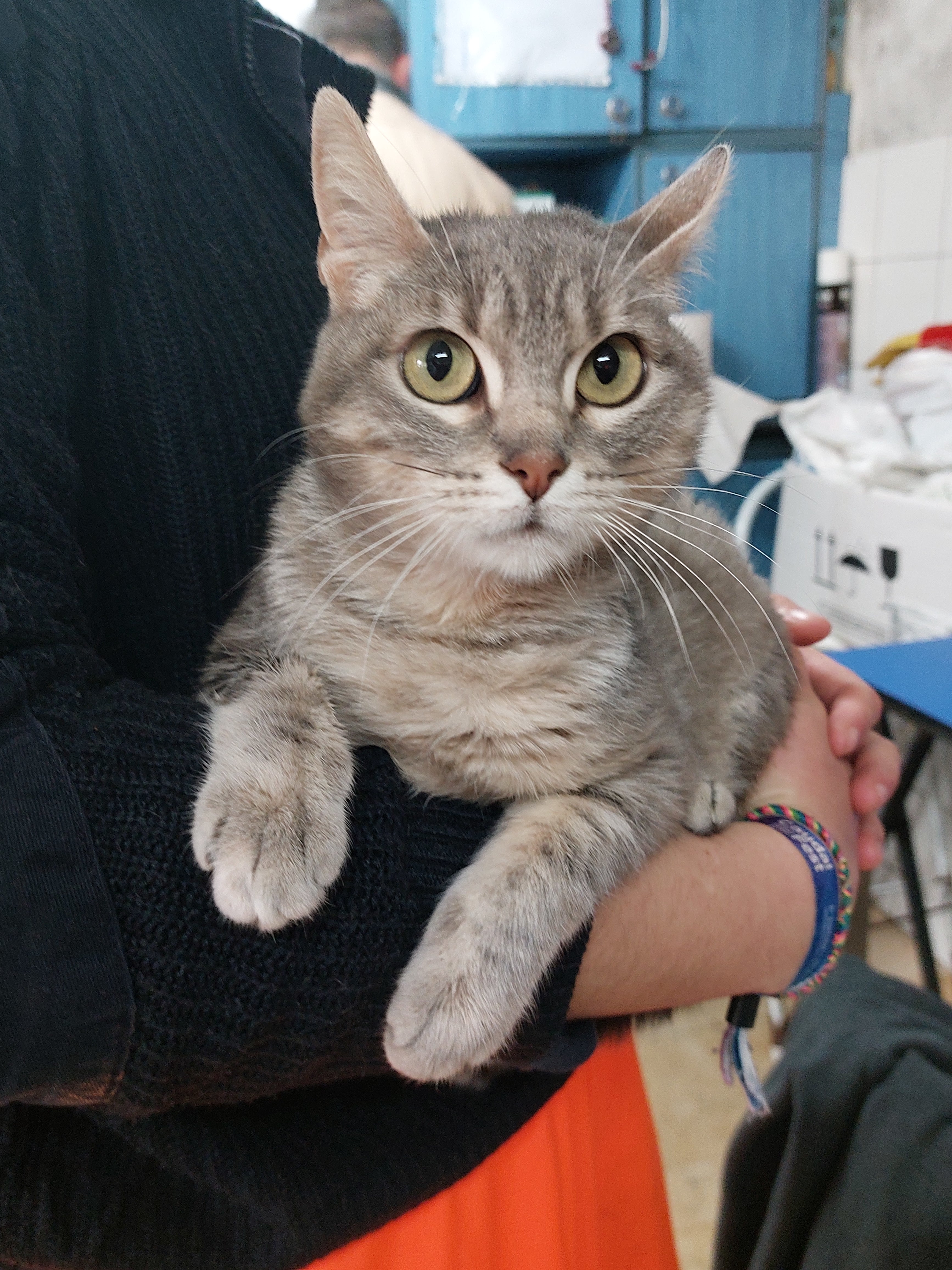 TABÚ