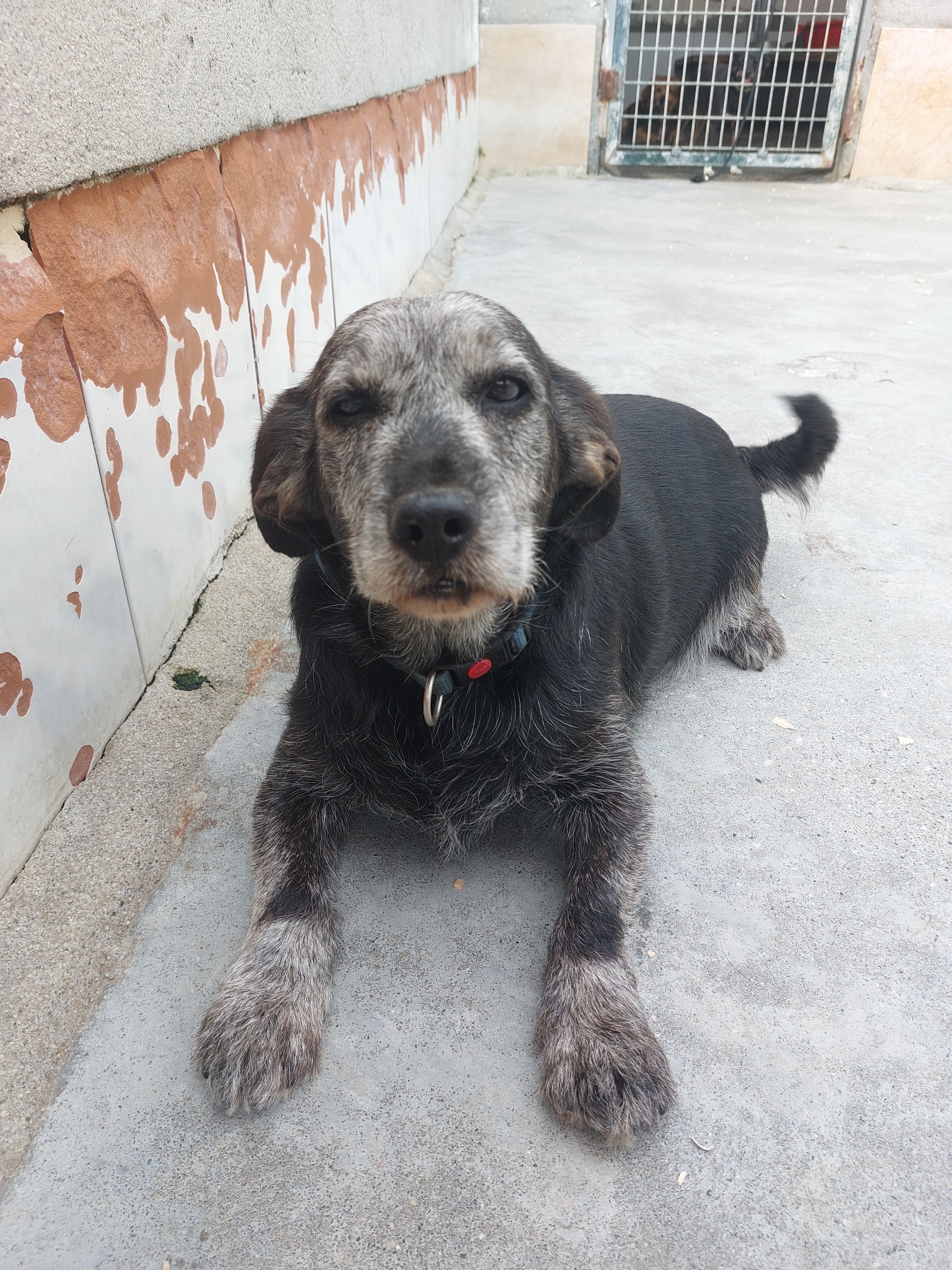 TULA