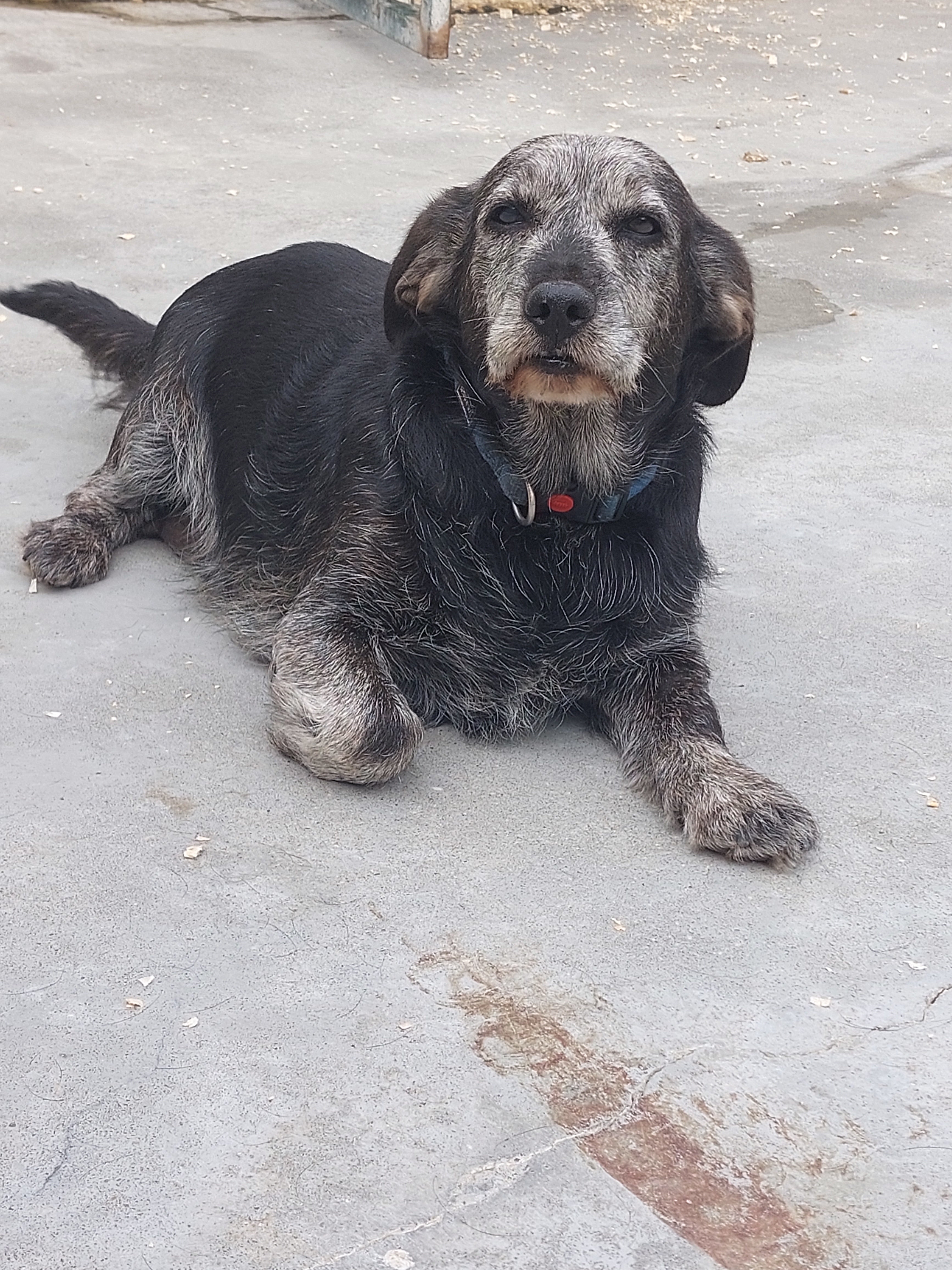 TULA