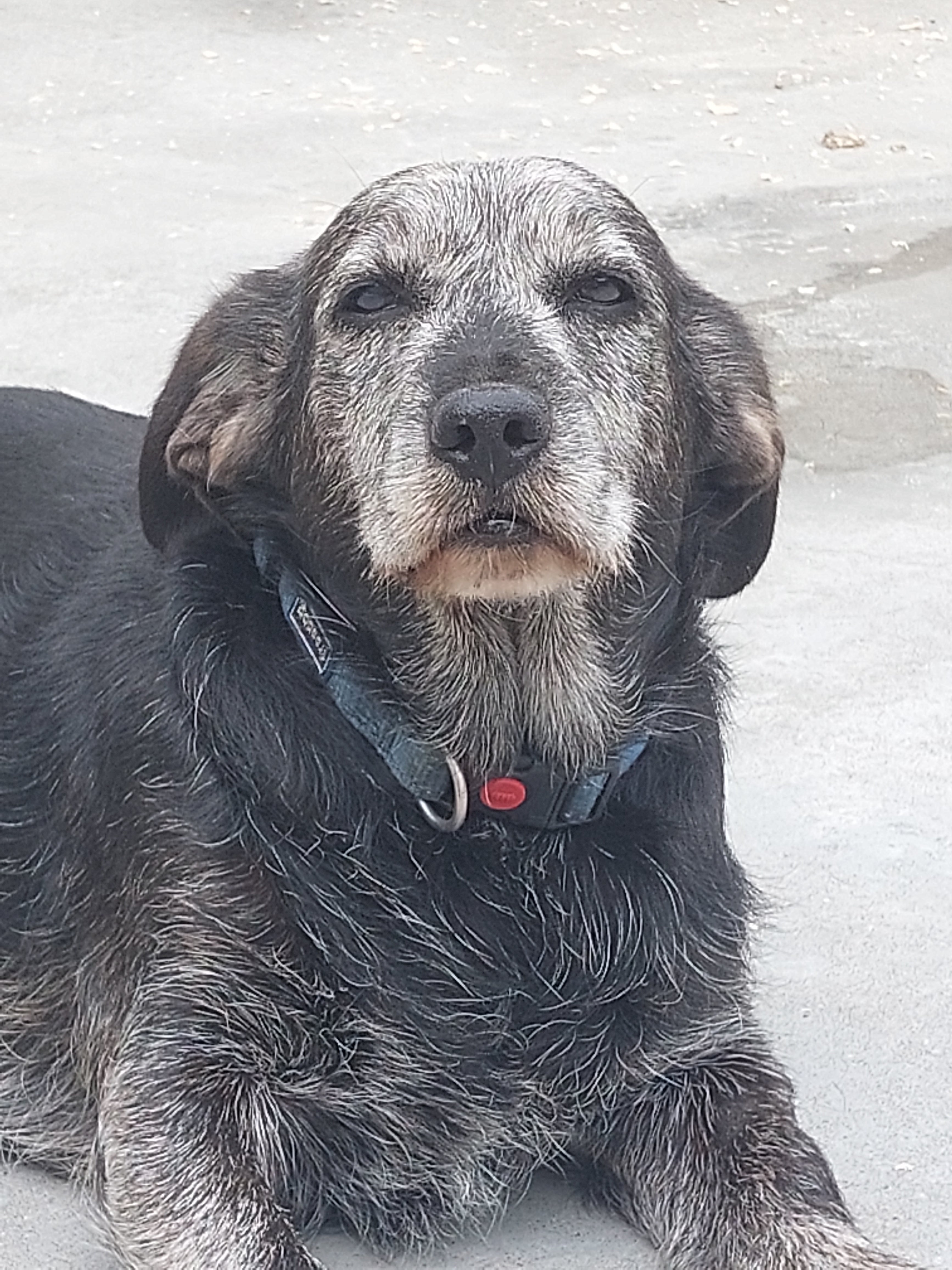 TULA