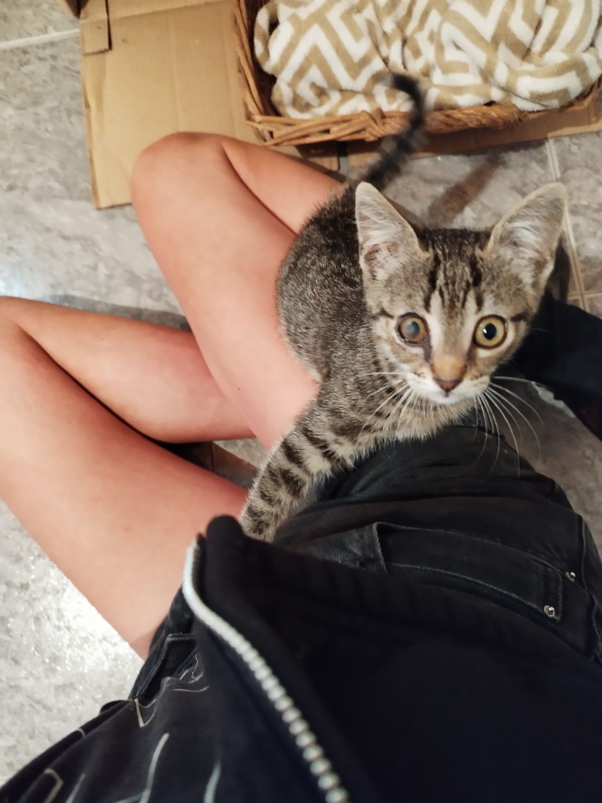 PATATITA