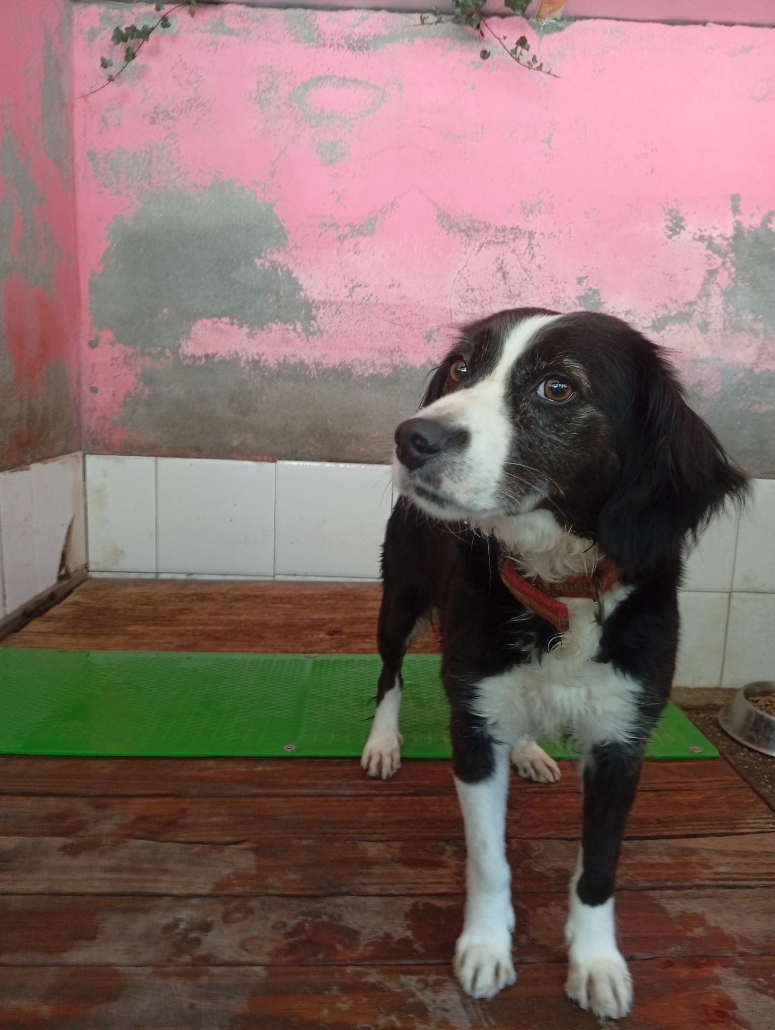 MARÍA