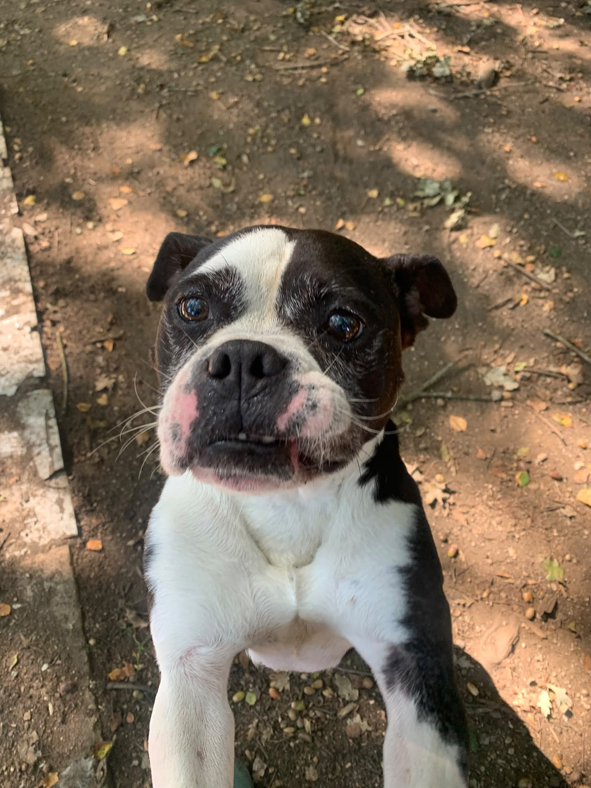KOVU
