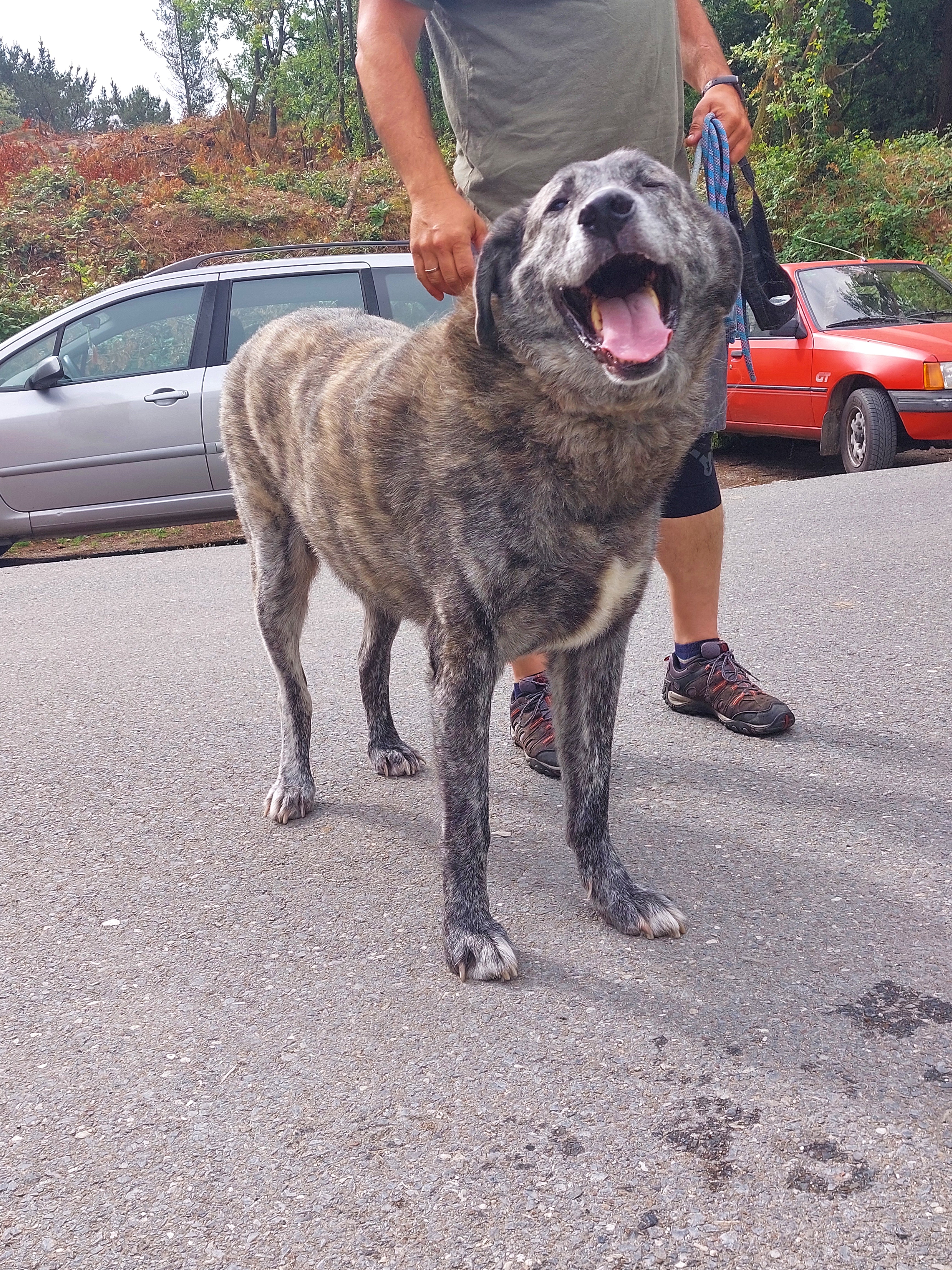 MARTÍN 1/ CHOSCO/ MAX