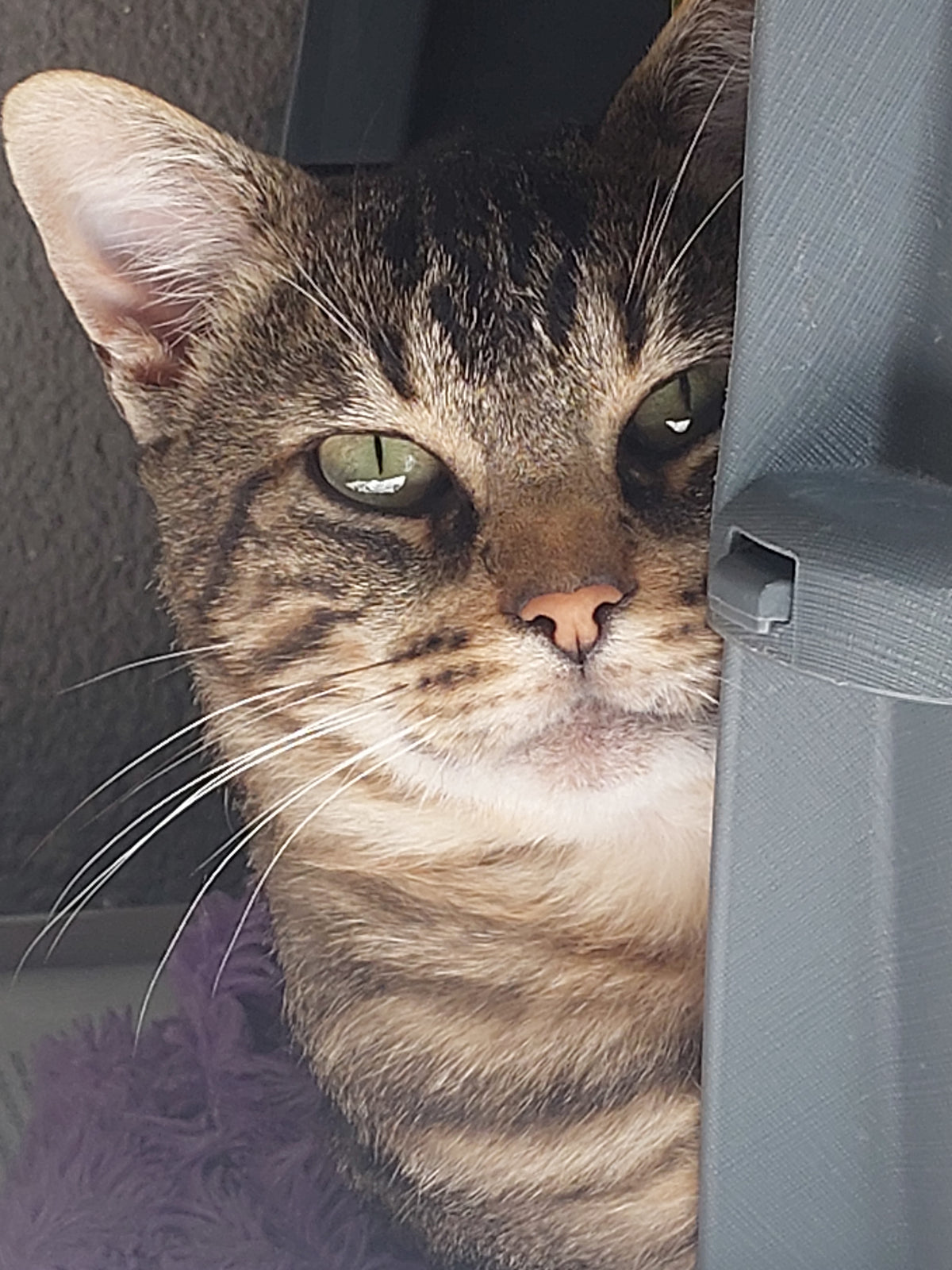 MORTY