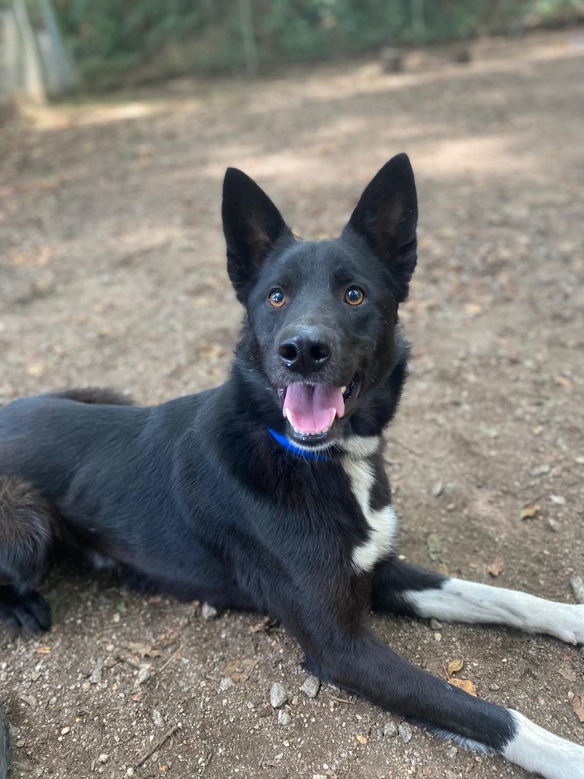 Valan[pre adoptado]