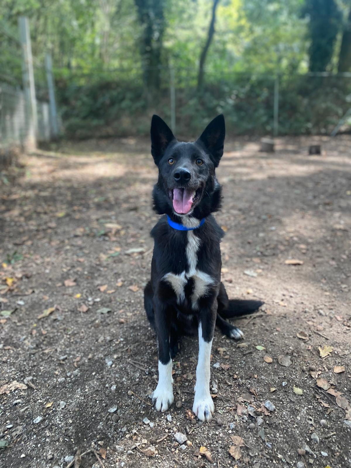 Valan[pre adoptado]