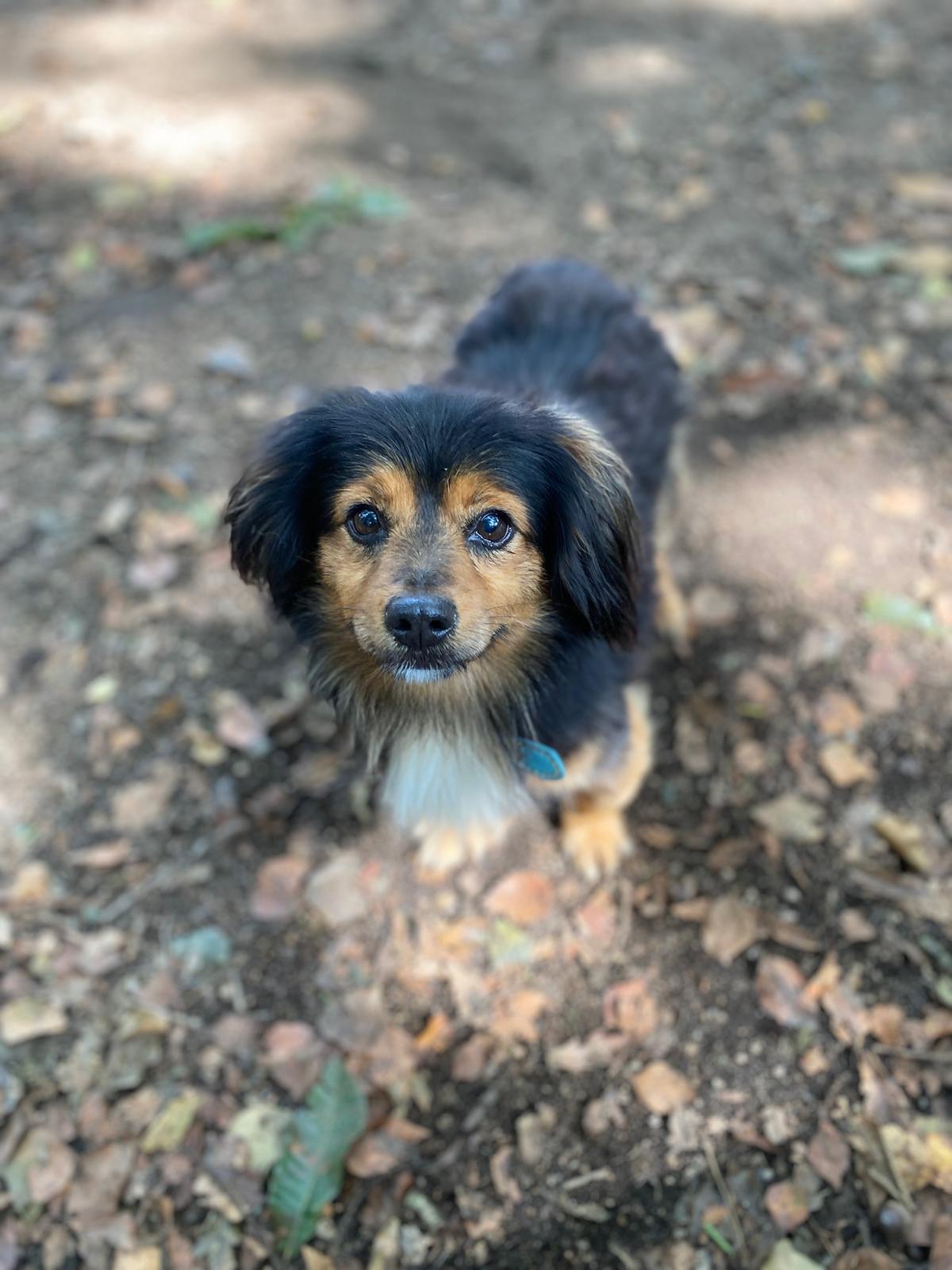 Macario[ pre adoptado]