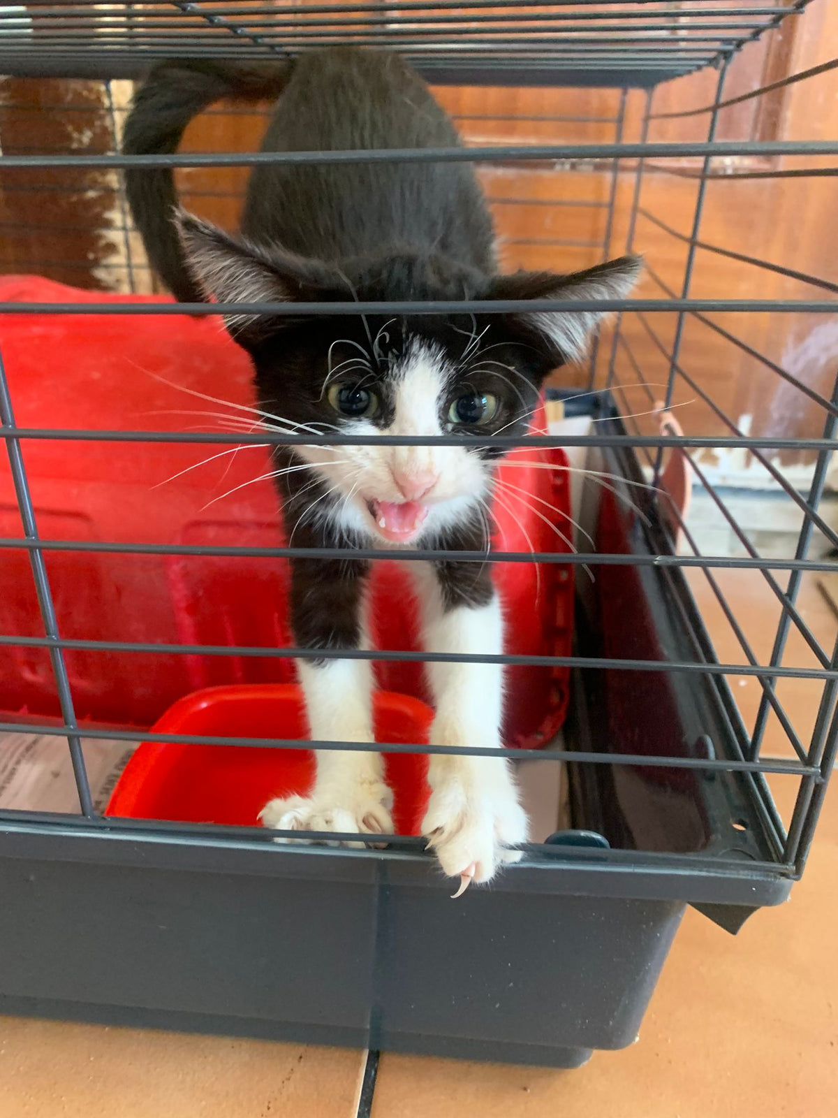 TUX