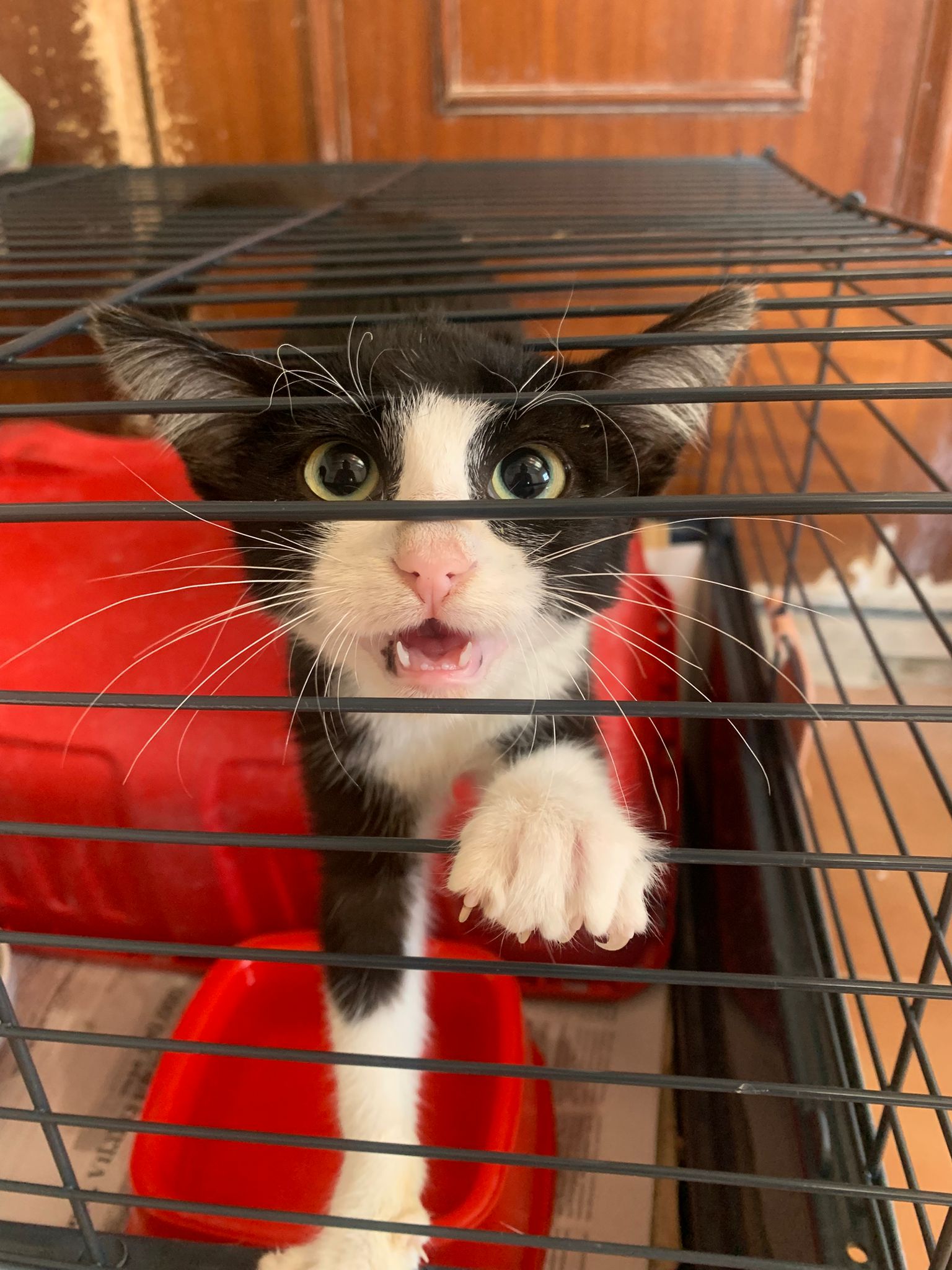 TUX