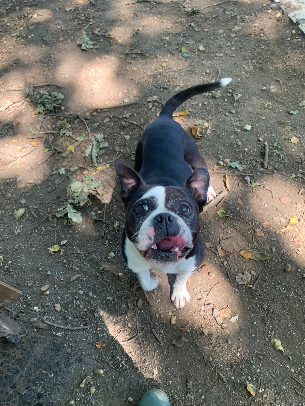 KOVU