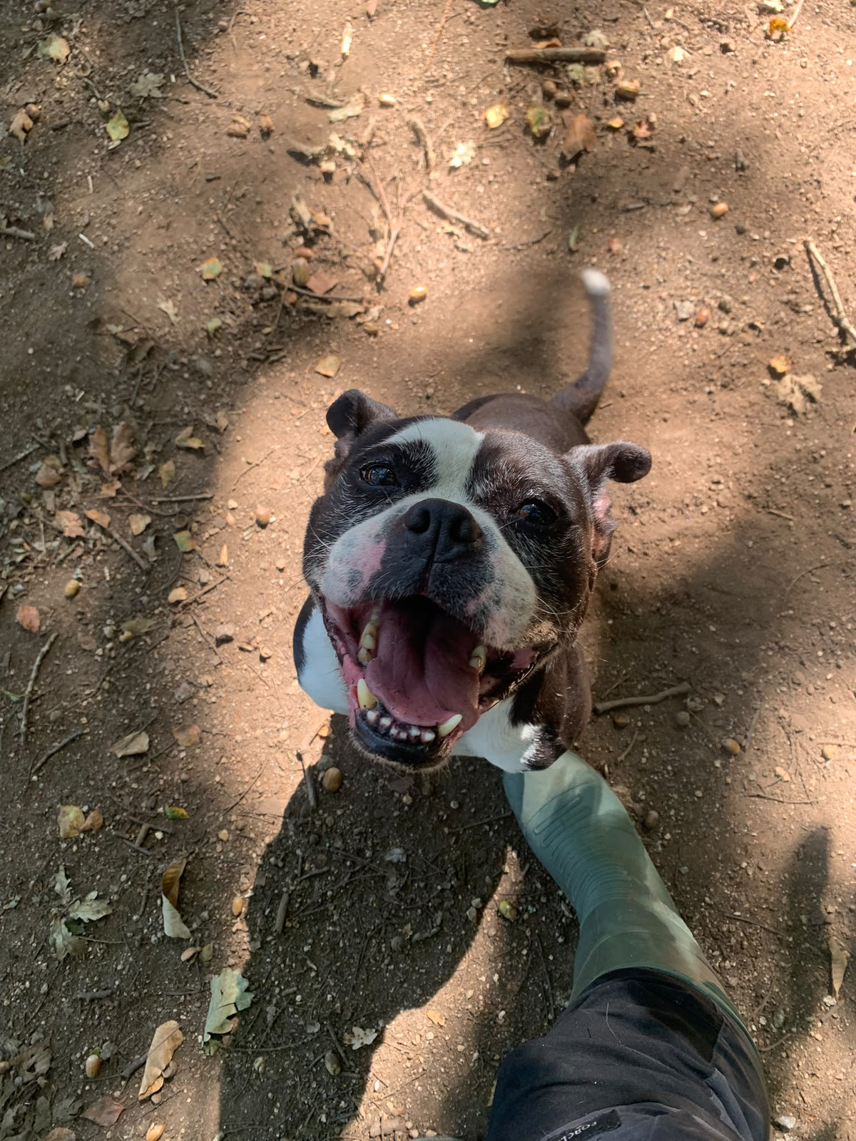 KOVU