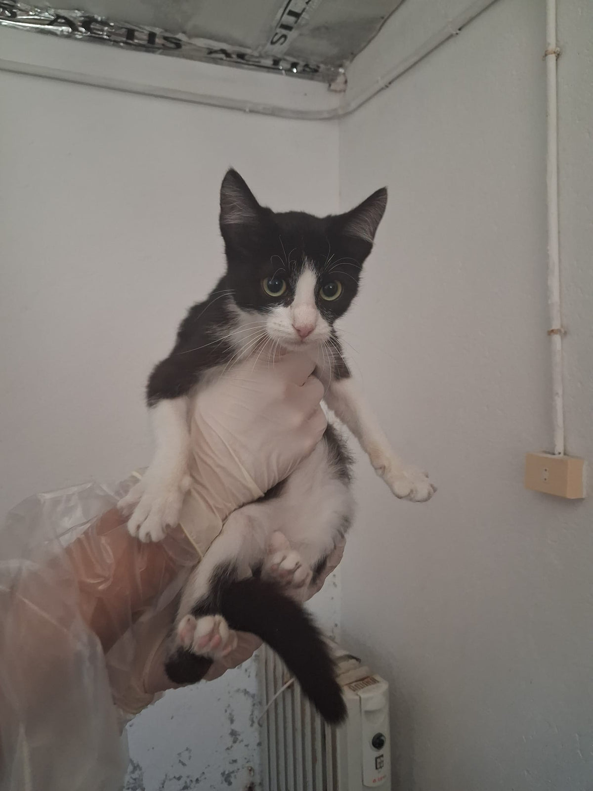 TUX